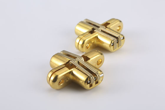 SS Mortise Mount Invisible Hinge 180 Degree Opening 50lbs ওজন ক্ষমতা