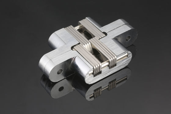 ইলেক্ট্রোপ্লেটেড হেভি ডিউটি ​​হিডেন ডোর হিংস মাল্টিপারপাস অ্যান্টিকোরোসিভ